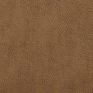 Charlotte Fabric 7427 Cafe