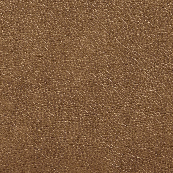 7427 Cafe by Charlotte Designer Fabric Breathables 100% Breathable Polyurethane, 26oz. Asia Exceeds 250,000 Wyzenbeek Rubs (Heavy Duty) No Repeat 54 Inches - Swanky Fabrics -
