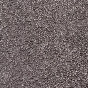 Charlotte Fabric 7428 Pewter