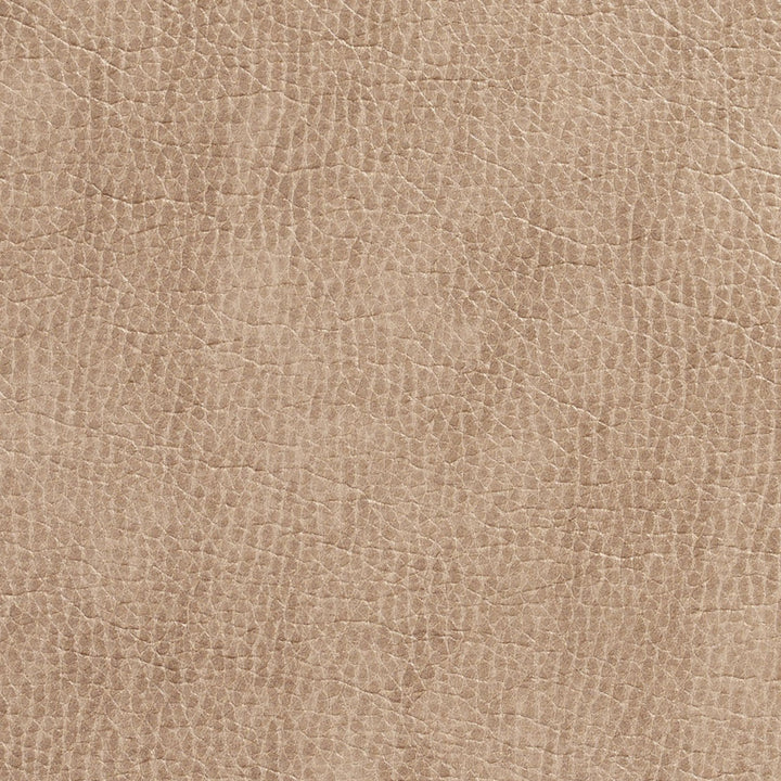 7432 Birch by Charlotte Designer Fabric Breathables 100% Breathable Polyurethane, 26oz. Asia Exceeds 250,000 Wyzenbeek Rubs (Heavy Duty) No Repeat 54 Inches - Swanky Fabrics -