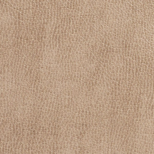 Charlotte Fabric 7432 Birch