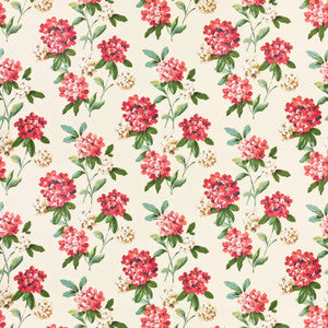 Bassett Mcnab Fabric 7436-7 Cashiers