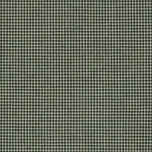 Sunbrella Fabric 48146-0003 Lore Moss
