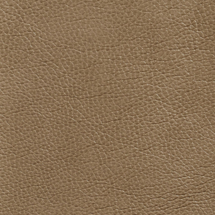 7437 Dune by Charlotte Designer Fabric Breathables 100% Breathable Polyurethane, 26oz. Asia Exceeds 2,000,000 Wyzenbeek Double Rubs (Heavy Duty) </p><p>Repeat: 54 Inches - Swanky Fabrics -