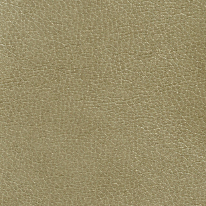 7439 Moss by Charlotte Designer Fabric Breathables 100% Breathable Polyurethane, 26oz. Asia Exceeds 2,000,000 Wyzenbeek Double Rubs (Heavy Duty) </p><p>Repeat: 54 Inches - Swanky Fabrics -