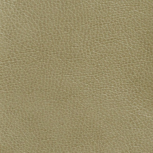 Charlotte Fabric 7439 Moss