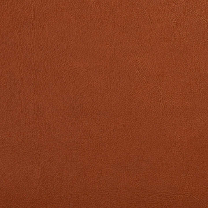 7443 Palomino by Charlotte Designer Fabric UltraHyde Face: Vinyl/Polyurethane, Back: Polyester Microsuede, 29oz. Asia Exceeds 2,000,000 Wyzenbeek Double Rubs (Heavy Duty) </p><p>Repeat: 54 Inches - Swanky Fabrics -