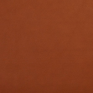 Charlotte Fabric 7443 Palomino
