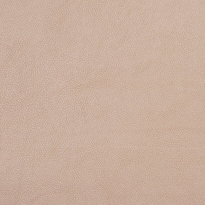 Charlotte Fabric 7451 Champagne