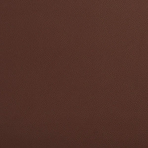 Charlotte Fabric 7454 Rawhide