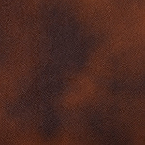 Charlotte Fabric 7469 Canyon