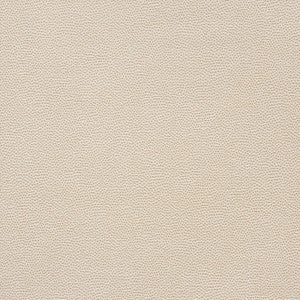 Schumacher Fabric Stingray Champagne 75200