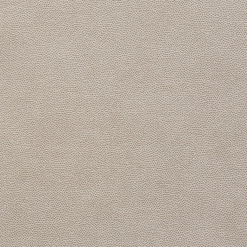 Stingray Zinc 75202 by Schumacher Designer Fabric Relaxed-Glamour 56% Polyester, 32% Viscose, 12% Cotton Martindale 32,000 Horizontal: - and Vertical: - 54 - Swanky Fabrics -