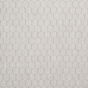 Schumacher Fabric Abaco Grey 75342