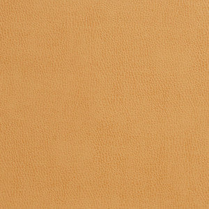 Charlotte Fabric 7554 Camel