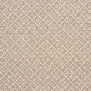Schumacher Fabric Albert Fret Stone 75561