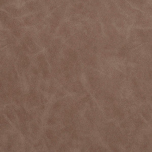 Charlotte Fabric 7563 Pewter