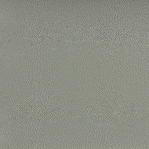 Charlotte Fabric 7596 Zinc