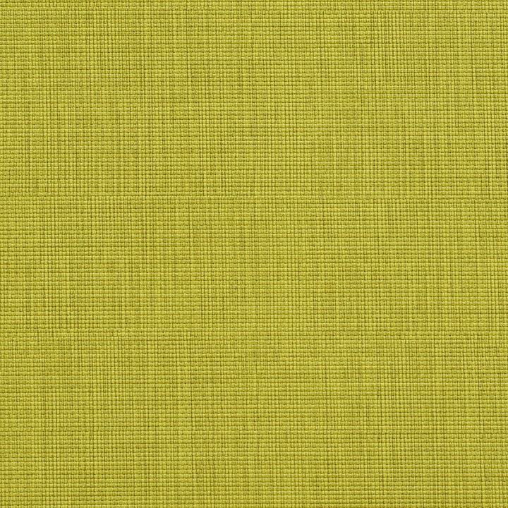 7603 Citrus by Charlotte Designer Fabric Heavy Duty Soft Touch Vinyl II 100% Vinyl, 30oz. Asia Exceeds 200,000 Wyzenbeek Rubs (Heavy Duty) </p><p>Repeat: 54 Inches - Swanky Fabrics -