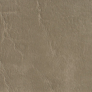 Charlotte Fabric 7620 Taupe