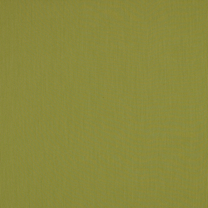 SJA 3970 137 Canvas Lichen by Sunbrella Designer Fabric Sunbrella European SunbrellaÂ® Acrylic, SunbrellaÂ® Polyester USA or Imported 5-Year Horizontal: and Vertical: 54 in. - Swanky Fabrics -
