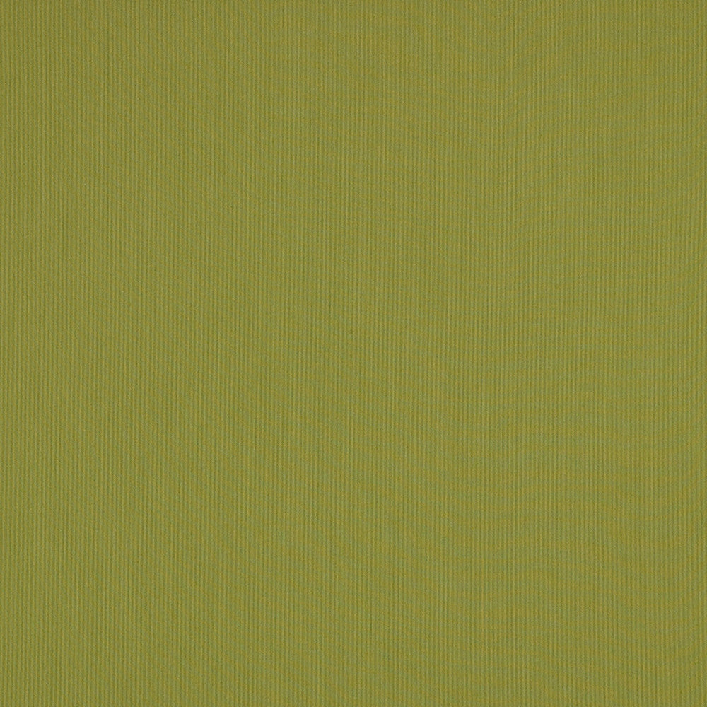 SJA 3970 137 Canvas Lichen by Sunbrella Designer Fabric Sunbrella European Sunbrella® Acrylic, Sunbrella® Polyester USA or Imported 5-Year Horizontal: and Vertical: 54 in. - Swanky Fabrics -