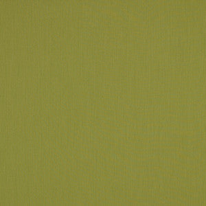 Sunbrella Fabric SJA 3970 137 Canvas Lichen