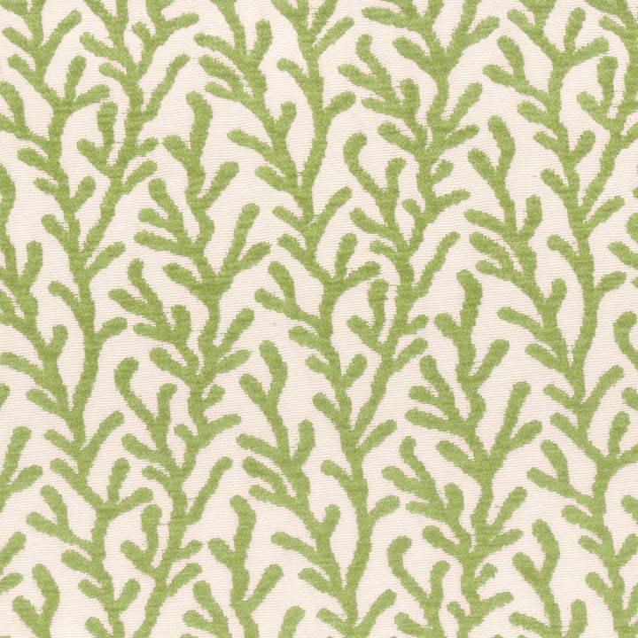7659-15 Sea Coral Chenille by Bassett Mcnab Fabric Bassett Mcnab Fabric 7659-15 Sea Coral ChenilleFabric BASSETT MCNAB WOVENS USA </p><p>Repeat: H: 7.500, V: 5.875 54 in - Fabric Carolina -