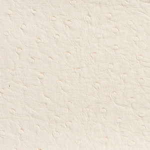 Charlotte Fabric 7704 Eggshell