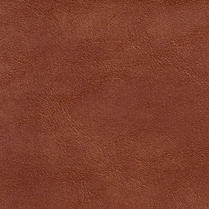 Charlotte Fabric 7717 Sable