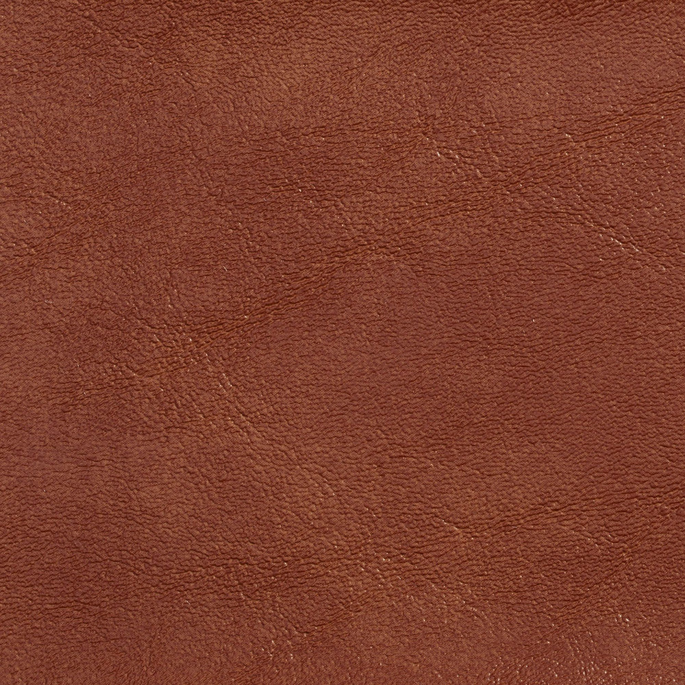 7717 Sable by Charlotte Designer Fabric Outdoor/Indoor Vinyl Oasis 100% Virgin Vinyl, 32oz. Asia Exceeds 600,000 Wyzenbeek Rubs (Heavy Duty) No Repeat 54 Inches - Swanky Fabrics -