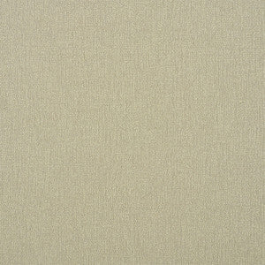 Schumacher Fabric Albert Performance Cotton Flax 77802