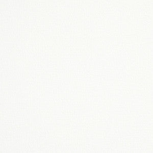 Schumacher Fabric Albert Performance Cotton White 77808
