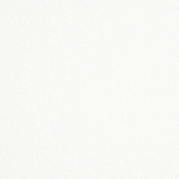 Albert Performance Cotton White 77808 by Schumacher Fabric Schumacher Fabric Albert Performance Cotton White 77808Fabric COTTON 80% ITALY </p><p>Repeat: H: , V: 55 - Fabric Carolina -