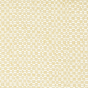 Bassett Mcnab Fabric 7803-77 Foundation Beach Blonde
