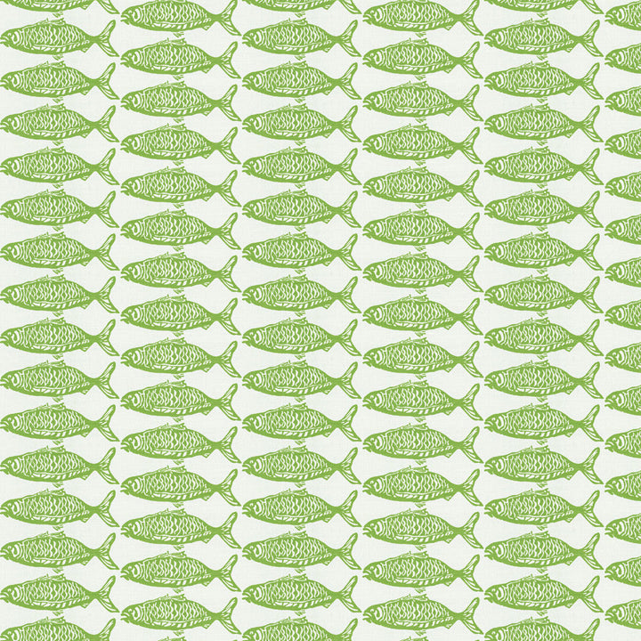 7826-3 School O Fish Spring by Aoc Fabric Aoc Fabric 7826-3 School O Fish SpringFabric HARBOR VIEW VICTORIA LARSON SHOWROOM USA </p><p>Repeat: H: 10.250, V: 3.625 57 in - Fabric Carolina -