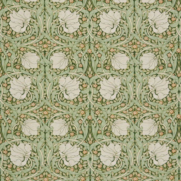 7865 Pimpernel 4 Dill by Wmah Fabric Wmah Fabric 7865 Pimpernel 4 DillFabric WILLIAM MORRIS AT HOME KELMSCOTT GARDENS VOL 1 100%COT SPAIN </p><p>Repeat: H: 18.500, V: 14.125 55 in - Fabric Carolina -