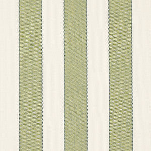 Schumacher Fabric Blumont Stripe Indoor/Outdoor Green 79055