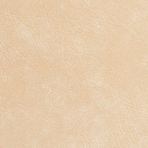 Charlotte Fabric 7949 Seashell