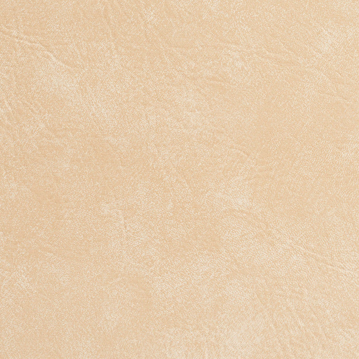 7949 Seashell by Charlotte Designer Fabric Heavy Duty Soft Touch Vinyl 100% Vinyl, 30oz. Asia Exceeds 200,000 Wyzenbeek Rubs (Heavy Duty) </p><p>Repeat: 54 Inches - Swanky Fabrics -