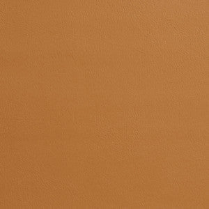 Charlotte Fabric 7969 Buckskin