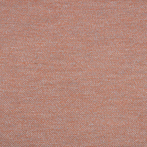 Sunbrella Fabric 42102-0010 Nurture Clay