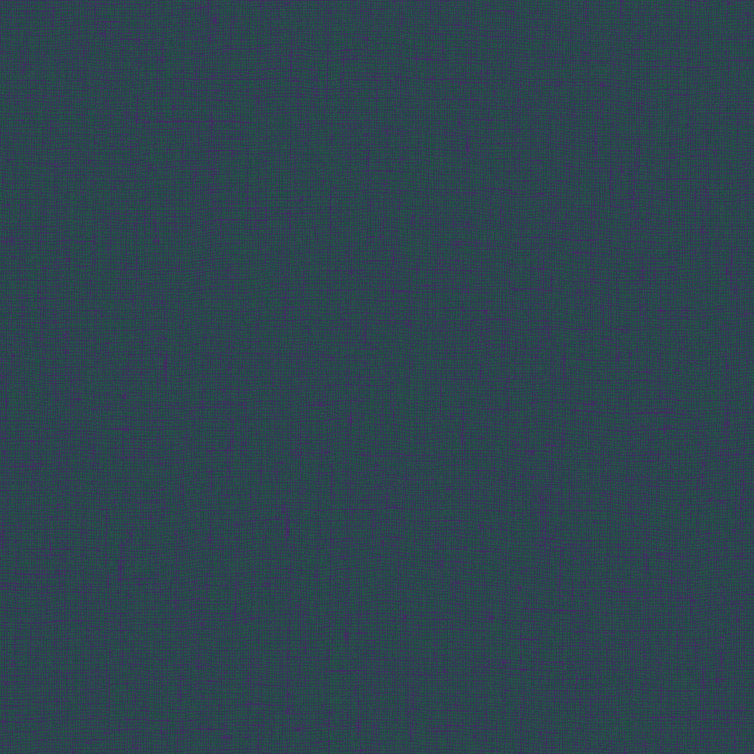 8009