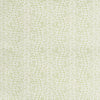 Brunschwig & Fils Fabric Les Touches Peridot