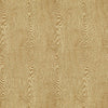 Brunschwig & Fils Fabric Wood Tan