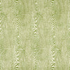 Brunschwig & Fils Fabric Wood Leaf