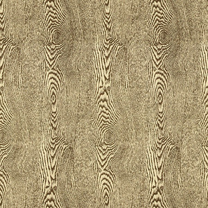 Brunschwig & Fils Fabric Wood Bark