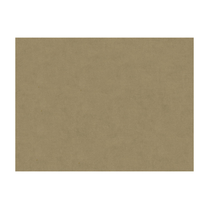 Charmant Velvet Cobblestone by Brunschwig & Fils Fabric Brunschwig & Fils Fabric Charmant Velvet CobblestoneFabric COTTON - 61%;VISCOSE - 39% Netherlands </p><p>Repeat: H: , V: 55 - Fabric Carolina -
