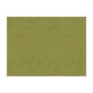 Brunschwig & Fils Fabric Charmant Velvet Fern
