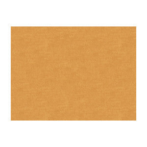 Brunschwig & Fils Fabric Charmant Velvet Raffia
